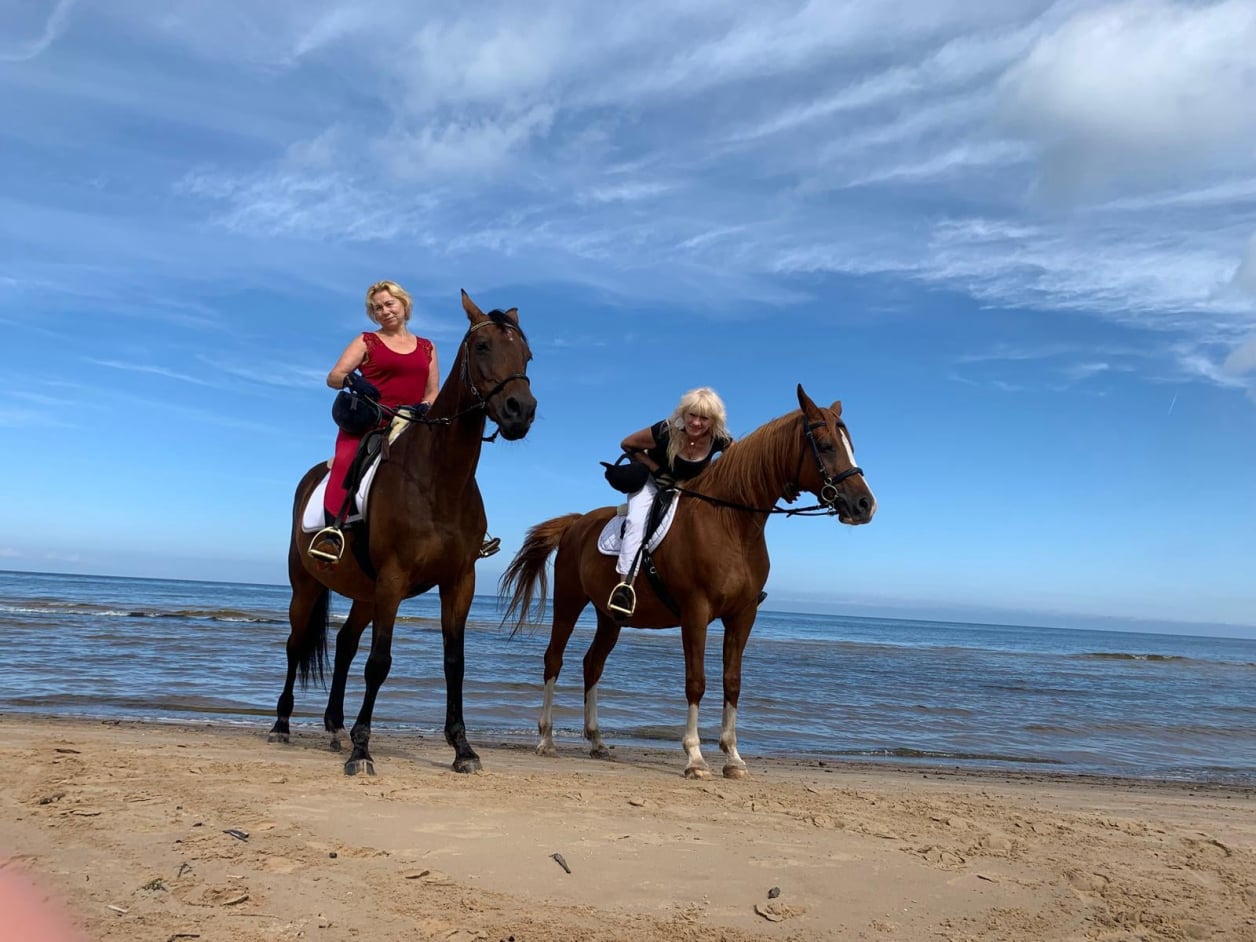 Zirgi pastaiga jūras krastā