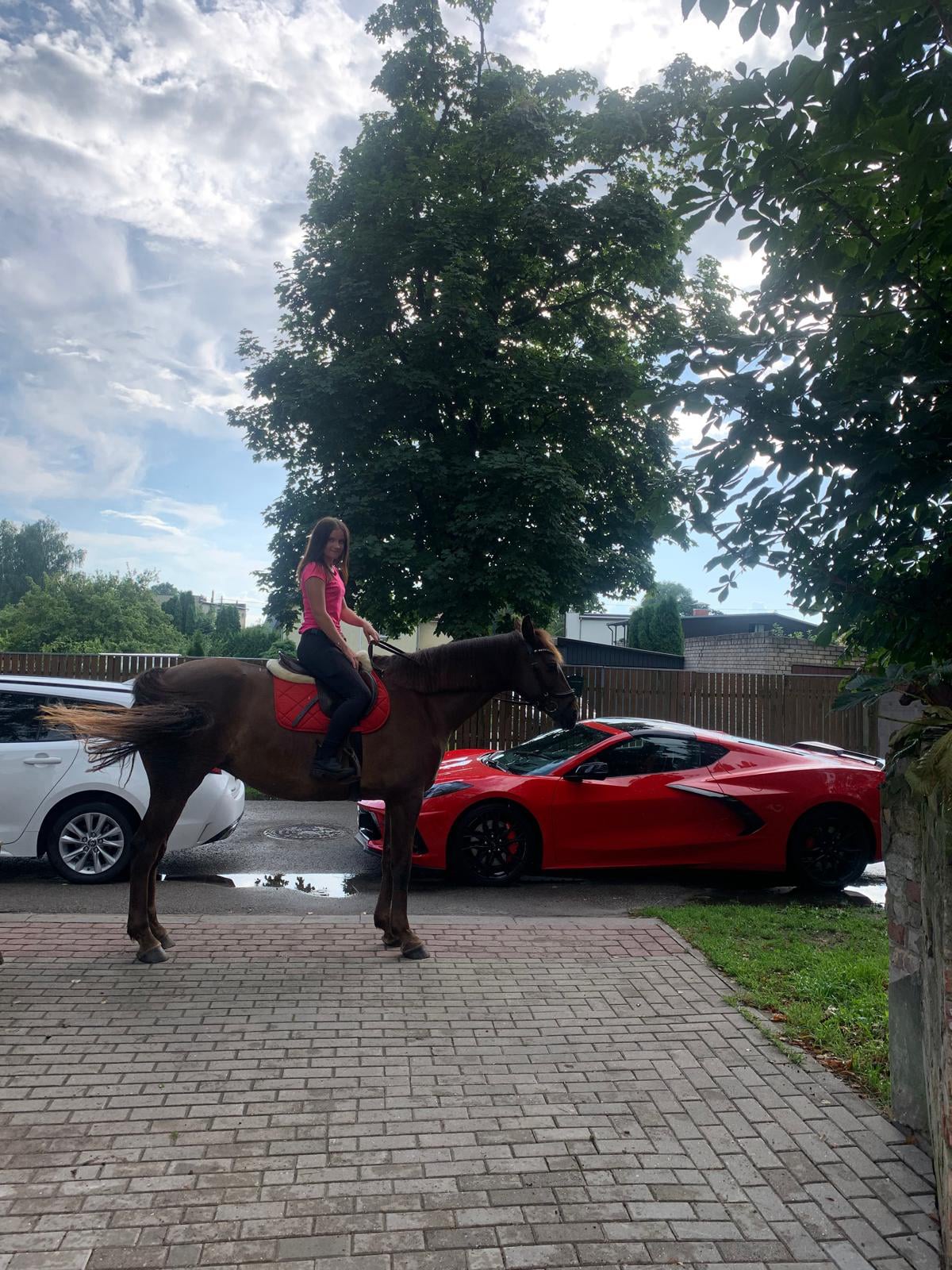 Zirgu izjāde vecāķos